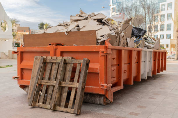 Debris Removal in Polk City, FL